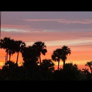 Meet your Posher, Summer